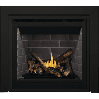 Napoleon Altitude Direct Vent Fireplace Electronic Ignition 3