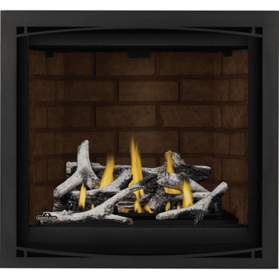 Napoleon Altitude 36 X Direct Vent Fireplace Electronic Ignition 3