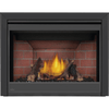 Napoleon Ascent BX Direct Vent Fireplace Electronic Ignition 10