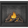 Napoleon Ascent 42" Deep X Direct Vent Fireplace Electronic Ignition 4