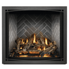 Napoleon Elevation X Direct Vent Fireplace Electronic Ignition 1