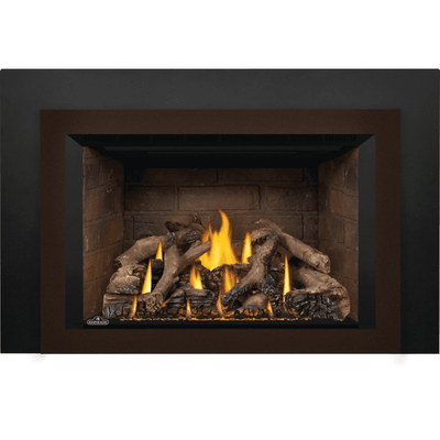 Napoleon Oakville X Series Gas Fireplace Insert Milivolt Ignition 12