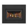 Napoleon Inspiration Zero Clearance Direct Vent Gas Fireplace 1