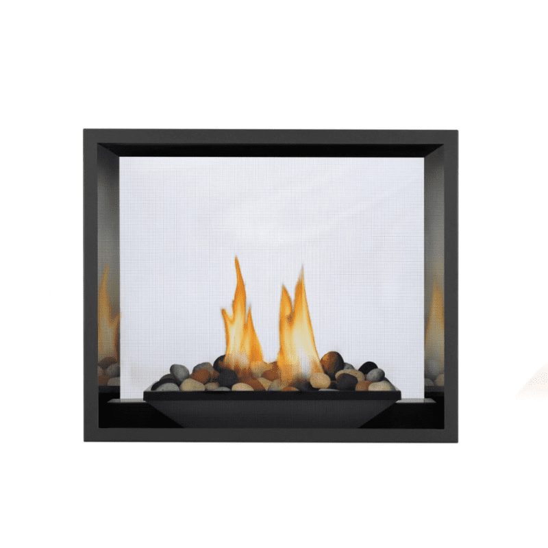 Napoleon High Definition See-Thru Direct Vent Gas Fireplace 1