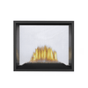 Napoleon High Definition See-Thru Direct Vent Gas Fireplace 5