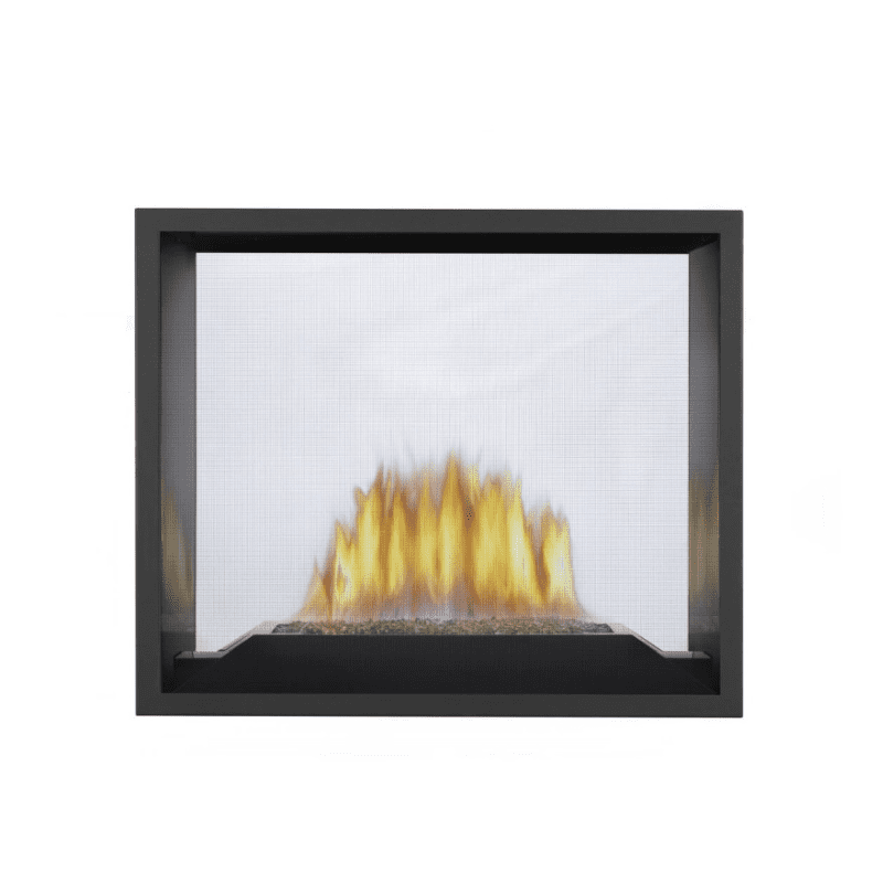 Napoleon High Definition See-Thru Direct Vent Gas Fireplace 1