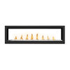 Napoleon Vector See Through Direct Vent Fireplace 6