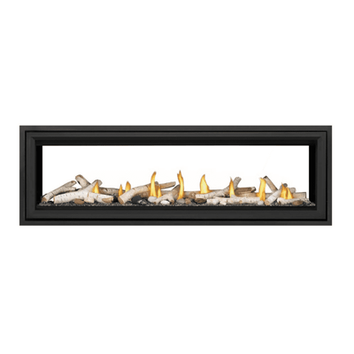 Napoleon Vector See Through Direct Vent Fireplace 4