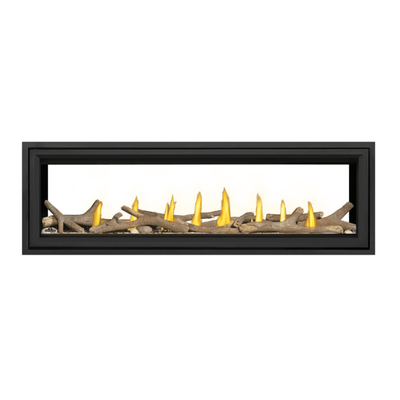 Napoleon Vector See Through Direct Vent Fireplace 5