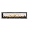 Napoleon Vector See Through Direct Vent Fireplace 9