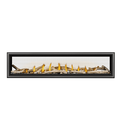 Napoleon Vector See Through Direct Vent Fireplace 9