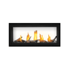 Napoleon Luxuria See Through Direct Vent Fireplace 2