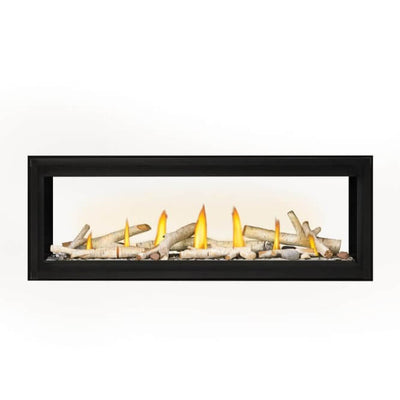 Napoleon Luxuria See Through Direct Vent Fireplace 7