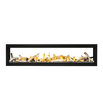 Napoleon Luxuria See Through Direct Vent Fireplace 9