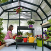 Palram - Canopia Hobby Gardener Greenhouse 6