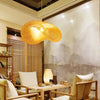 Modern Pendant Rattan Hanging Lamp 2