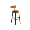 Bar Stool with Backrest 9