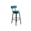 Bar Stool with Backrest 5