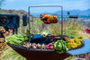 Arteflame Rotisserie With Cordless Motor 6